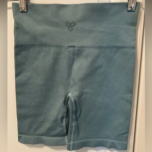 TNA teal shorts in very good used condition. Size Medium.